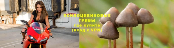 Альфа ПВП Елабуга