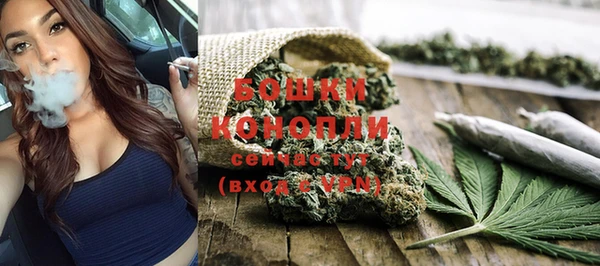 стафф Заводоуковск
