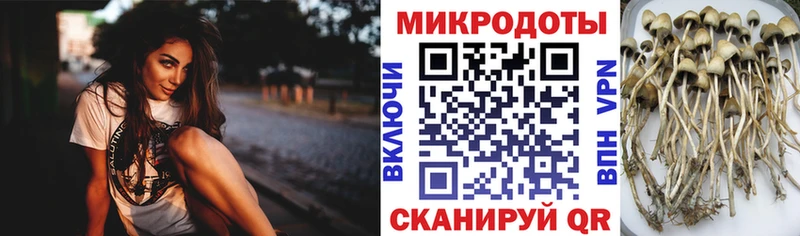Галлюциногенные грибы Cubensis  гидра ссылка  Зарайск 